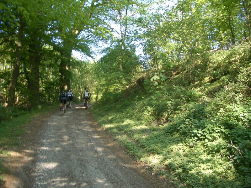 Bungsberg-CTF 504